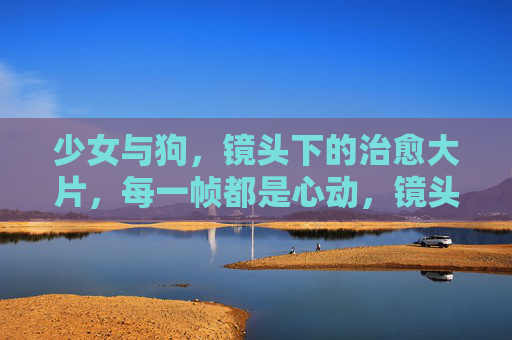 少女与狗，镜头下的治愈大片，每一帧都是心动，镜头下的少女与狗，治愈心动的每一帧