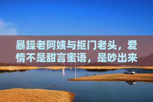 暴躁老阿姨与抠门老头，爱情不是甜言蜜语，是吵出来的财运与余生