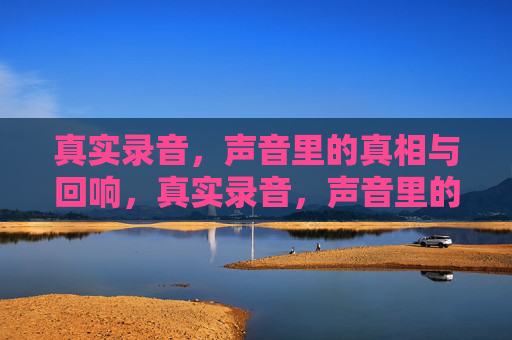 真实录音,声音里的真相与回响,真实录音,声音里的真相与回响 真实录音,声音里的真相与回响,真实录音,声音里的真相与回响