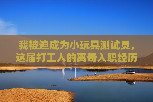 我被迫成为小玩具测试员，这届打工人的离奇入职经历，被迫成为小玩具测试员，这届打工人的离奇入职