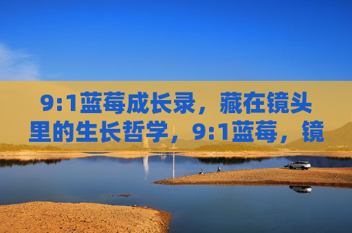 9:1蓝莓成长录,藏在镜头里的生长哲学,9:1蓝莓,镜头里的生长哲学 9:1蓝莓成长录,藏在镜头里的生长哲学,9:1蓝莓,镜头里的生长哲学