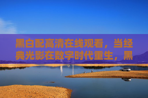 黑白配高清在线观看，当经典光影在数字时代重生，黑白配，经典光影的数字重生与高清观映