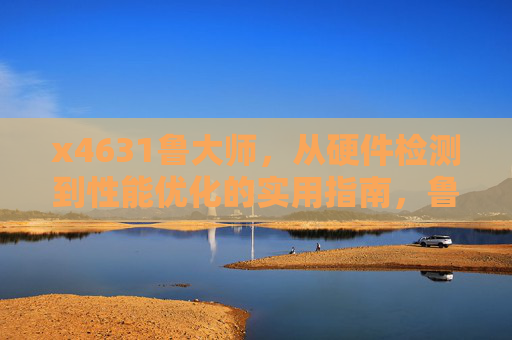 x4631鲁大师，从硬件检测到性能优化的实用指南，鲁大师，从硬件检测到性能优化的实用指南