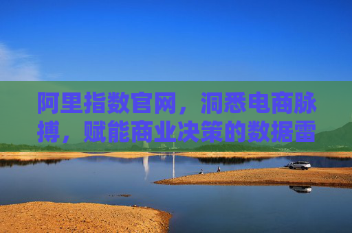 阿里指数官网，洞悉电商脉搏，赋能商业决策的数据雷达，阿里指数，洞悉电商脉搏的商业数据雷达