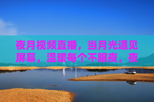 夜月视频直播，当月光遇见屏幕，温暖每个不眠夜，夜月视频直播，月光映屏，温暖不眠夜