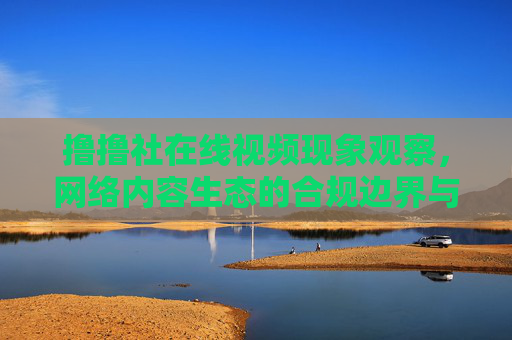 撸撸社在线视频现象观察，网络内容生态的合规边界与用户需求平衡，在线视频现象，合规边界与用户需求的平衡
