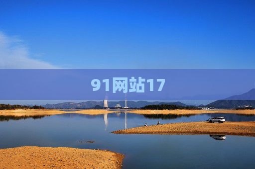 91网站17