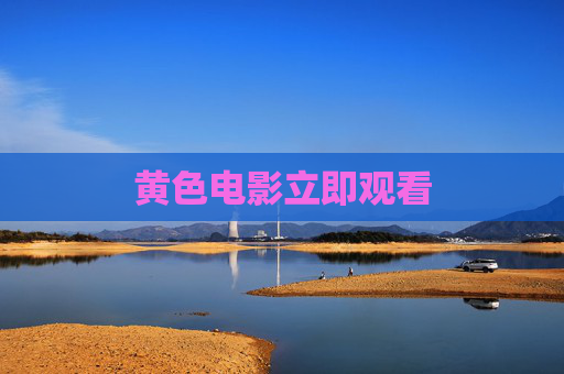 黄色电影立即观看
