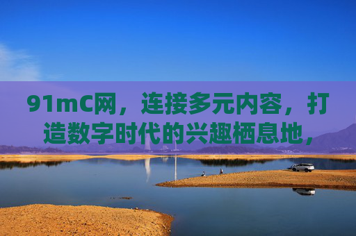 91mC网，连接多元内容，打造数字时代的兴趣栖息地，91mC网，数字时代的多元内容兴趣栖息地