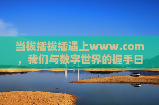 当拔插拔插遇上www.com，我们与数字世界的握手日常，拔插遇上www.com，数字世界的握手日常