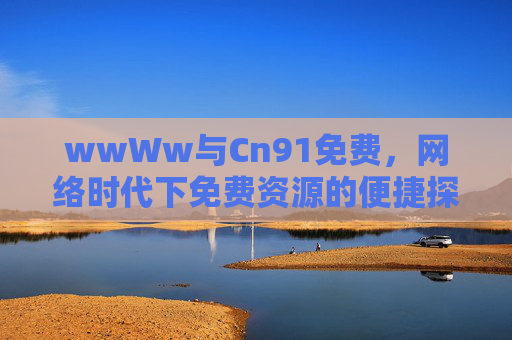 wwWw与Cn91免费，网络时代下免费资源的便捷探索，wwWw与Cn91，网络时代免费资源的便捷探索