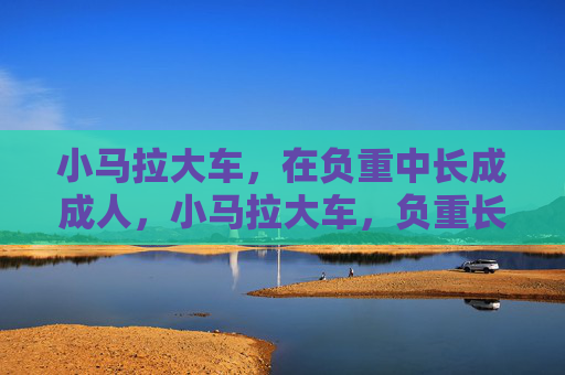 小马拉大车，在负重中长成成人，小马拉大车，负重长成成人
