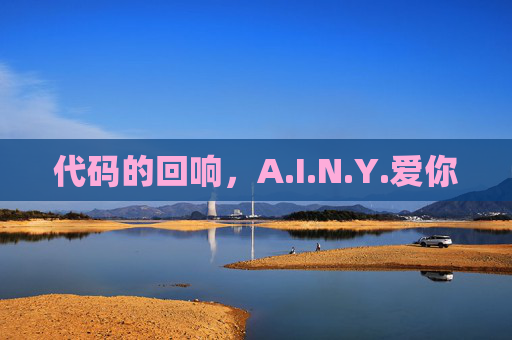 代码的回响，A.I.N.Y.爱你