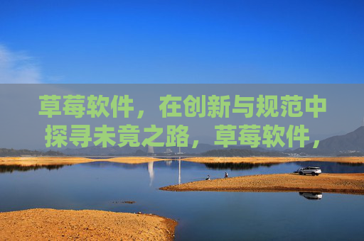 草莓软件,在创新与规范中探寻未竟之路,草莓软件,创新与规范共探未竟之路 草莓软件,在创新与规范中探寻未竟之路,草莓软件,创新与规范共探未竟之路