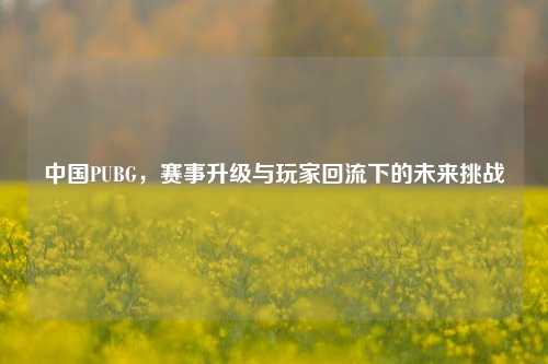 中国PUBG，赛事升级与玩家回流下的未来挑战