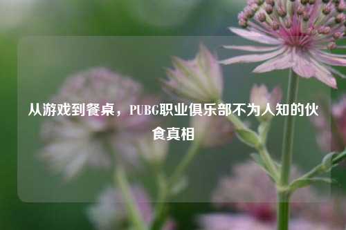 从游戏到餐桌，PUBG职业俱乐部不为人知的伙食真相