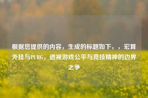 根据您提供的内容，生成的标题如下，，宏算外挂与PUBG，透视游戏公平与竞技精神的边界之争