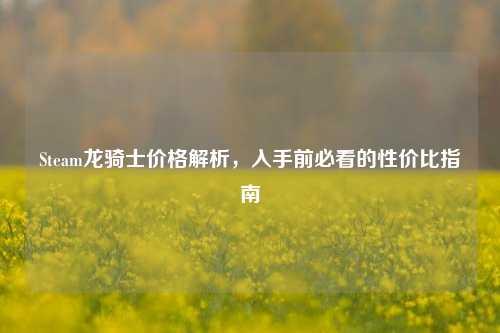 Steam龙骑士价格解析，入手前必看的性价比指南