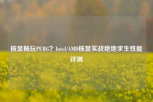 核显畅玩PUBG？Intel/AMD核显实战绝地求生性能评测