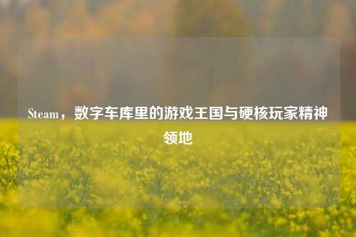 Steam，数字车库里的游戏王国与硬核玩家精神领地