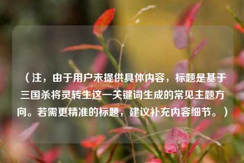 （注，由于用户未提供具体内容，标题是基于三国杀将灵转生这一关键词生成的常见主题方向。若需更精准的标题，建议补充内容细节。）