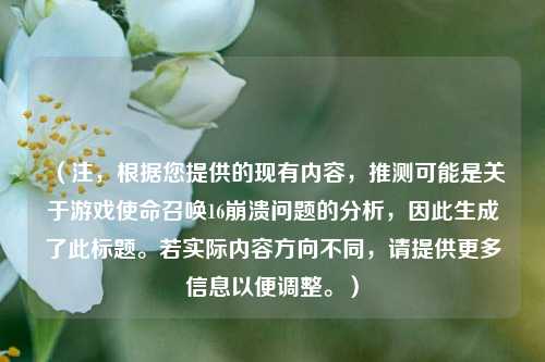 （注，根据您提供的现有内容，推测可能是关于游戏使命召唤16崩溃问题的分析，因此生成了此标题。若实际内容方向不同，请提供更多信息以便调整。）