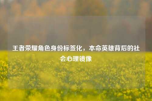 王者荣耀角色身份标签化，本命英雄背后的社会心理镜像