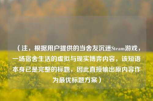 （注，根据用户提供的当舍友沉迷Steam游戏，一场宿舍生活的虚拟与现实博弈内容，该短语本身已是完整的标题，因此直接输出原内容作为更优标题方案）