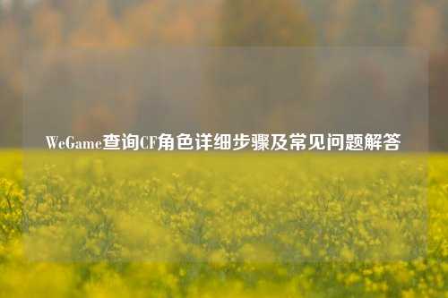 WeGame查询CF角色详细步骤及常见问题解答