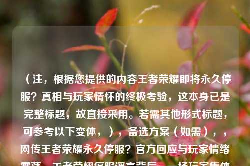 （注，根据您提供的内容王者荣耀即将永久停服？真相与玩家情怀的终极考验，这本身已是完整标题，故直接采用。若需其他形式标题，可参考以下变体，），备选方案（如需），，网传王者荣耀永久停服？官方回应与玩家情绪震荡，王者荣耀停服谣言背后，一场玩家集体记忆的暴击，辟谣｜王者荣耀停运传闻引爆社交平台，7亿玩家何去何从？