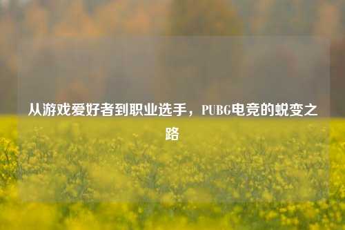 从游戏爱好者到职业选手，PUBG电竞的蜕变之路