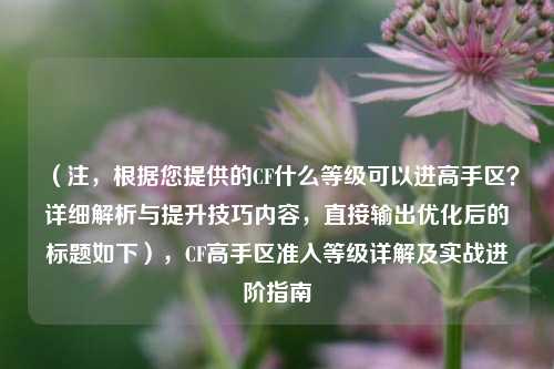 （注，根据您提供的CF什么等级可以进高手区？详细解析与提升技巧内容，直接输出优化后的标题如下），CF高手区准入等级详解及实战进阶指南