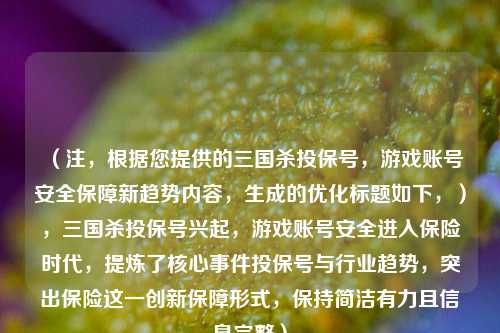 （注，根据您提供的三国杀投保号，游戏账号安全保障新趋势内容，生成的优化标题如下，），三国杀投保号兴起，游戏账号安全进入保险时代，提炼了核心事件投保号与行业趋势，突出保险这一创新保障形式，保持简洁有力且信息完整）