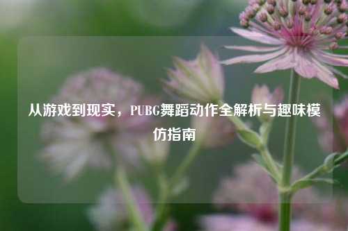 从游戏到现实，PUBG舞蹈动作全解析与趣味模仿指南