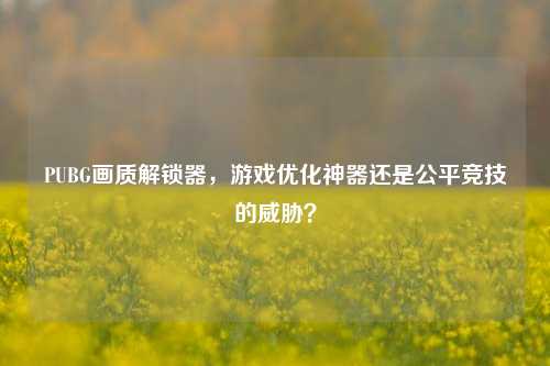 PUBG画质解锁器，游戏优化神器还是公平竞技的威胁？
