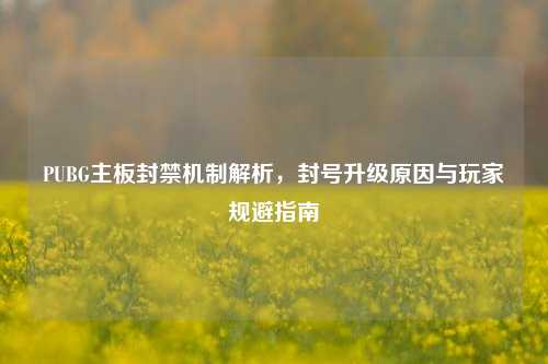 PUBG主板封禁机制解析，封号升级原因与玩家规避指南