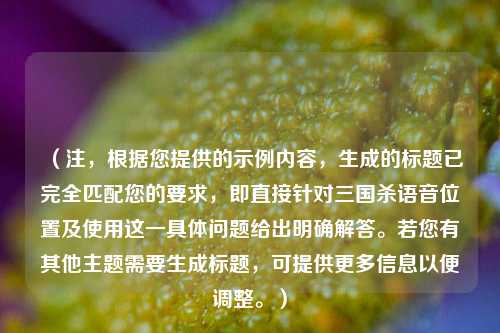 （注，根据您提供的示例内容，生成的标题已完全匹配您的要求，即直接针对三国杀语音位置及使用这一具体问题给出明确解答。若您有其他主题需要生成标题，可提供更多信息以便调整。）