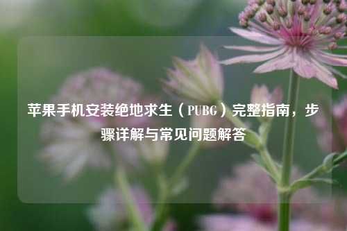 苹果手机安装绝地求生（PUBG）完整指南，步骤详解与常见问题解答