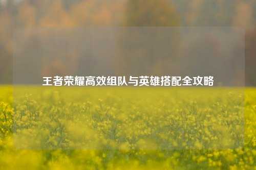 王者荣耀高效组队与英雄搭配全攻略