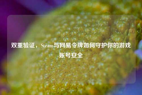 双重验证，Steam与网易令牌如何守护你的游戏账号安全