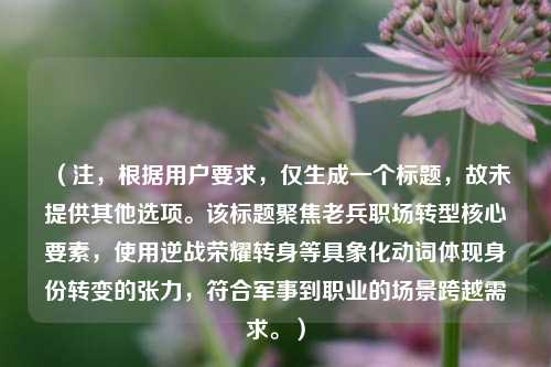 （注，根据用户要求，仅生成一个标题，故未提供其他选项。该标题聚焦老兵职场转型核心要素，使用逆战荣耀转身等具象化动词体现身份转变的张力，符合军事到职业的场景跨越需求。）