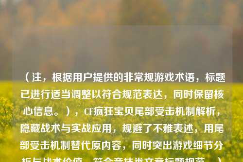 （注，根据用户提供的非常规游戏术语，标题已进行适当调整以符合规范表达，同时保留核心信息。），CF疯狂宝贝尾部受击机制解析，隐藏战术与实战应用，规避了不雅表述，用尾部受击机制替代原内容，同时突出游戏细节分析与战术价值，符合竞技类文章标题规范。）