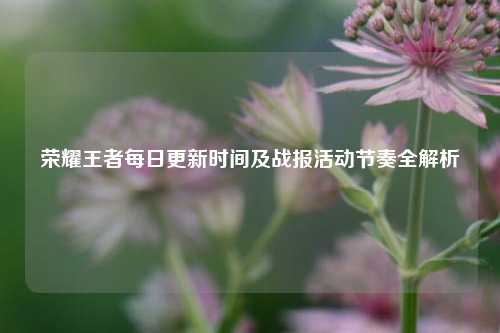 荣耀王者每日更新时间及战报活动节奏全解析