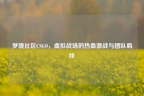 梦境社区CSGO，虚拟战场的热血激战与团队羁绊