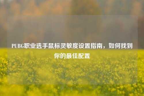 PUBG职业选手鼠标灵敏度设置指南，如何找到你的更佳配置