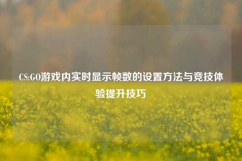 CS:GO游戏内实时显示帧数的设置 *** 与竞技体验提升技巧