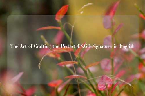 The Art of Crafting the Perfect CS:GO Signature in English