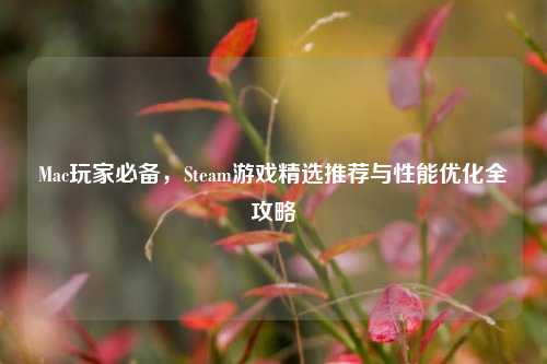 Mac玩家必备，Steam游戏精选推荐与性能优化全攻略