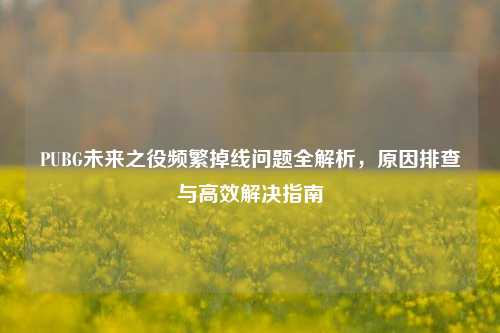 PUBG未来之役频繁掉线问题全解析，原因排查与高效解决指南