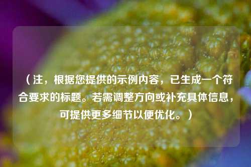 （注，根据您提供的示例内容，已生成一个符合要求的标题。若需调整方向或补充具体信息，可提供更多细节以便优化。）